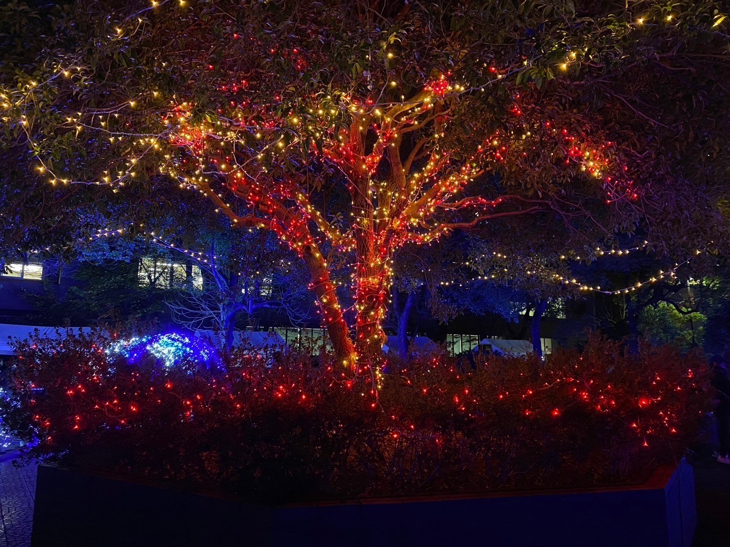 イルミネーション